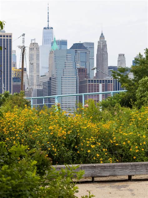 Karte Des Brooklyn Bridge Parks