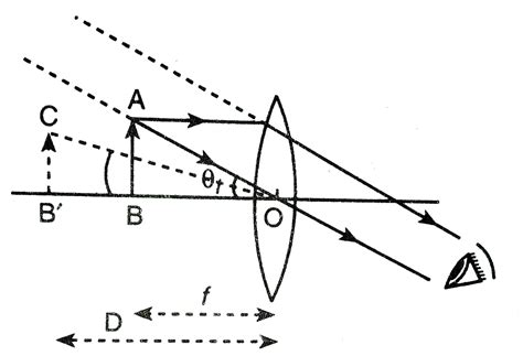 simple microscopes 7