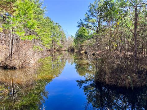 Twiggs County Ga 255 Acres Green Hill Land And Forestry