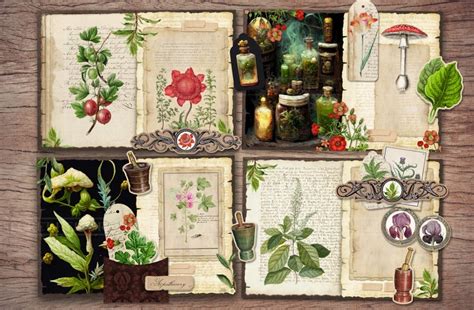 Apothecary Junk Journal Kit Printable Pages With Etsy