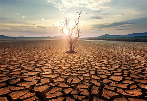 Os Impactos Das Mudan As Clim Ticas No Brasil Reda O Librain