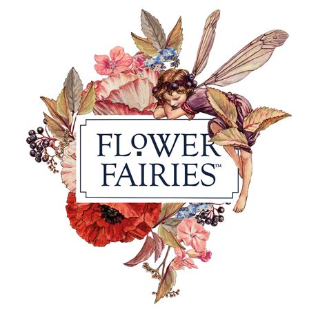 The Flower Fairies Complete Coin Collection