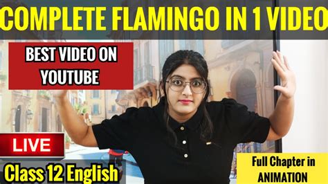 Flamingo All Chapters In One Video Cbse Class English Flamingo One