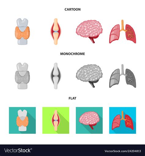 Design Of Biology And Scientific Symbol Royalty Free Vector