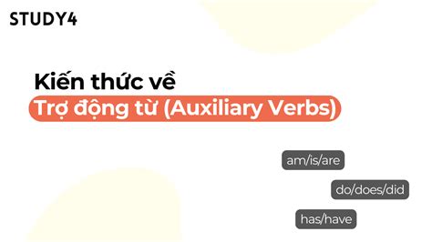 Trợ động từ Auxiliary Verbs là gì Cách dùng trợ động từ STUDY4