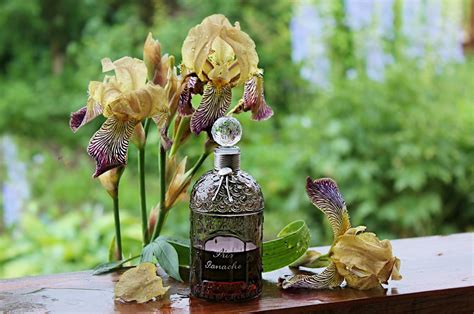 Iris Ganache Guerlain Parfum - ein es Parfum für Frauen 2007