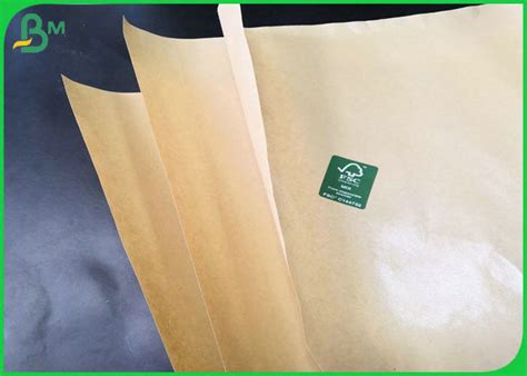 100 Biodegradable 40gsm 50gsm 60gsm Pe Coated Food Grade Paper Roll