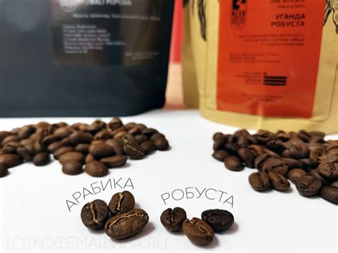 Кофе Робуста: что это такое, описание, состав, виды, обжарка, где ...
