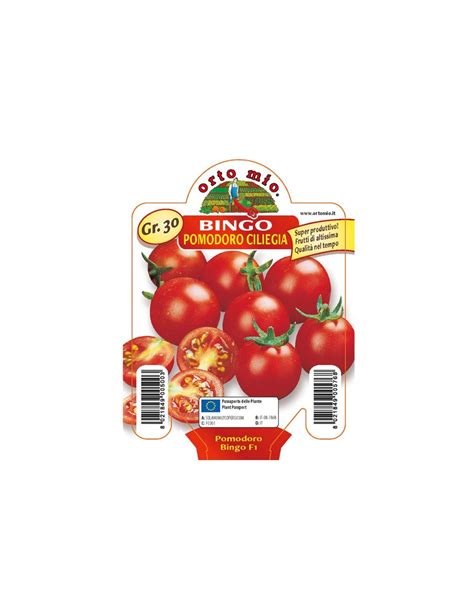 ORTO MIO PIANTA ALTA QUALITA POMODORO CILIEGINO BINGO VASO D 10