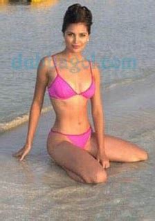 Lara Dutta Pink Bikini Photos Hot Photos Hub