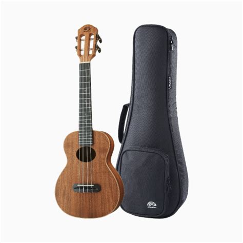 Anuenue Ukuleles Ukulele Movement