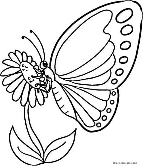 Monarch Butterfly 1 Coloring Page - Free Printable Coloring Pages