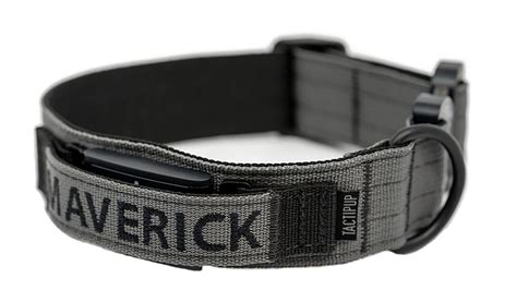 Fi Compatible Dog Collars Tagged "Personalized Fi Collar" - Tactipup