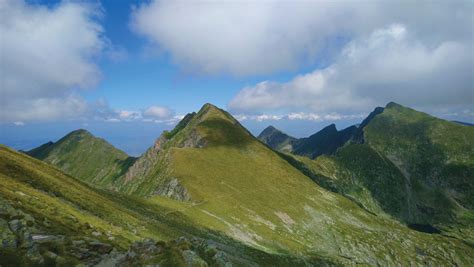 Mehr Beeren Als B Ren Berge Und Kultur In Siebenb Rgen Sektion