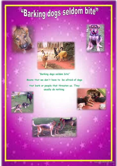 A Barking Dog Never Bites Meaning