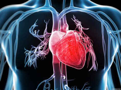 Enfermedades Cardiovasculares Cirugía Cardiovascular