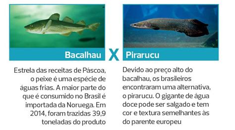 Veja Os Dados Da Piscicultura No Brasil Globo Rural Peixe