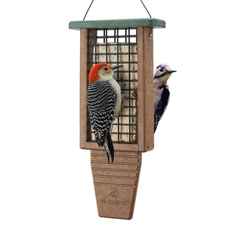 Best Suet Feeder for Woodpeckers in 2023