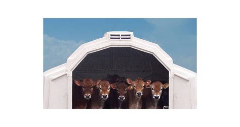 Calf Tel Multimax Super Hutch For Sale In Apple Creek Oh Mast