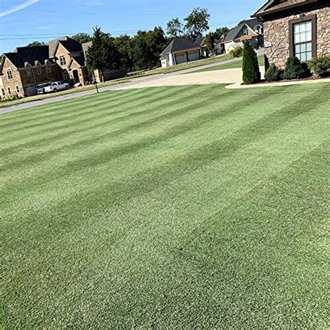 10 Best Bermuda Grass Seed For Oklahoma In 2023 The Wrench Finder