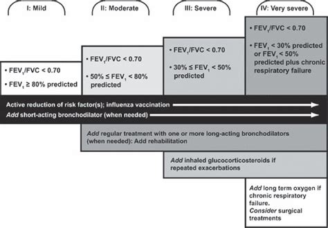 Therapy At Each Stage Of Chronic Obstructive Pulmonary Disease Copd