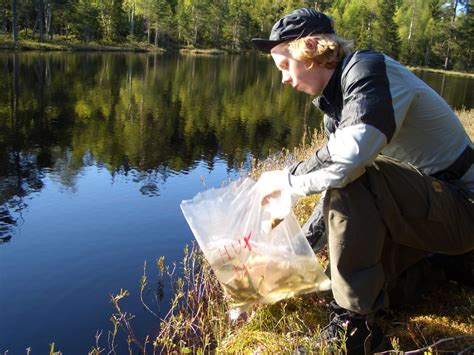 L Renskog Jakt Fiskeforening Fiskeutvalget