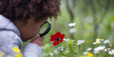 Encouraging curiosity in kids