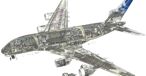 Airbus A380-800 Cutaway Drawing - AERONEF.NET