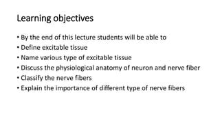 Lec Excitable Tissue Nerve And Muscle Pptx