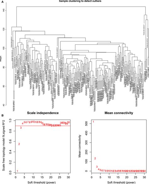 Sample Clustering To Detect Outliers And Analysis Of Network Topology