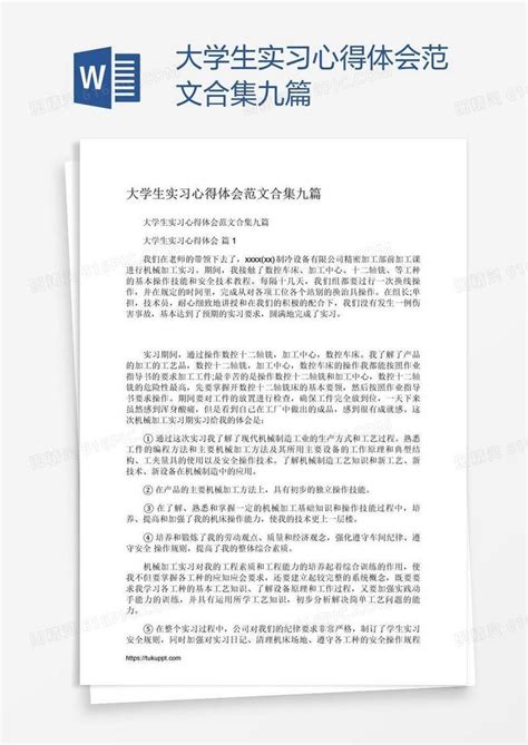 大学生实习心得体会范文合集九篇word模板免费下载编号142ae3p5z图精灵