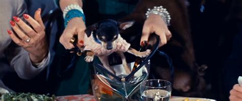 Love Music Wine And Revolution The Opposite Sex 1956