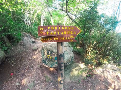 Roteiro Da Trilha Da Pedra Da Tartaruga E Praia Do Perigoso Guaratiba