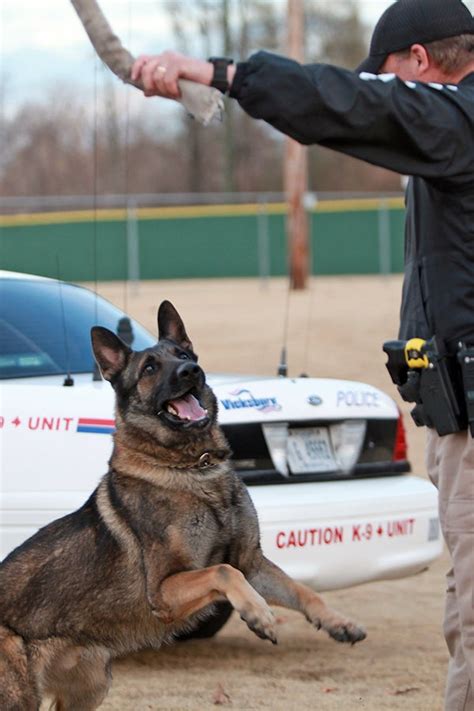 Trust Is Key For Canine Officers The Vicksburg Post The Vicksburg Post