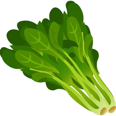 Spinach Clipart PNG Images, A Green Organic Spinach Clipart - Clip Art ...