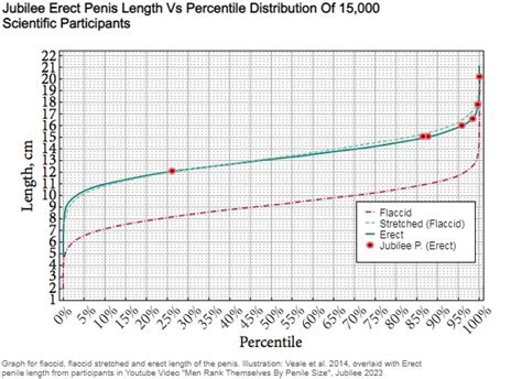 Jubilee Video Participant Erect Penis Length Plotted Against The