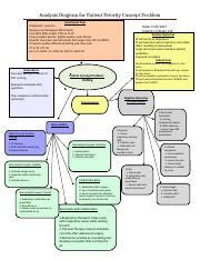 A Patient Priority Concept Problem Analysis Diagram Docx