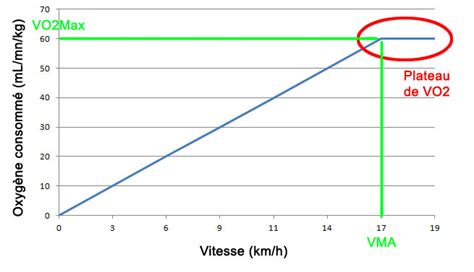 Vitesse Maximale A Robie V M A Tripassion Donn E D Entra Nement