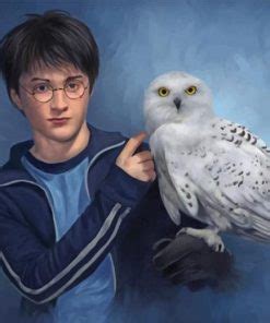 Harry Potter And Hedwig Paint By Numbers Painting By Numbers