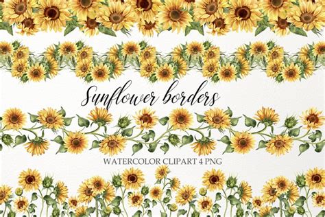 Sunflower border clipart. Watercolor flowers png (1910111)