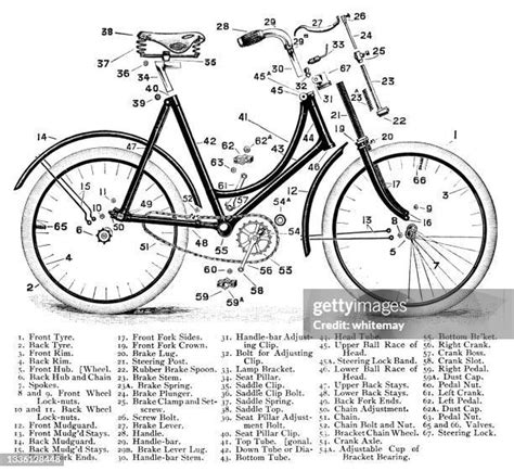 615 Bicycle Parts Diagram Stock Photos, High-Res Pictures, and Images ...