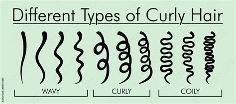 Types Of Curly Hair Kinky Vs Coily Soft Wavy Springy Crimpy Zig