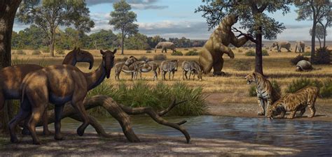 South America During the Pleistocene Must Have Been a Sight to Behold : r/Naturewasmetal