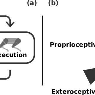 1: The Bigger Picture of Locomotion for Legged Robots. (a) an overview ...