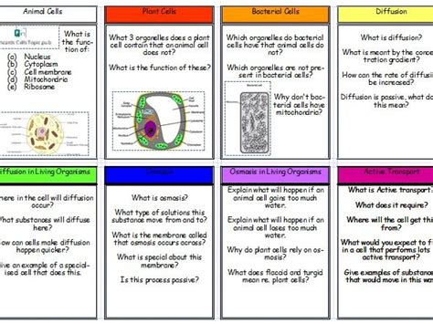 Aqa Revision Flashcards Cells Topic Teaching Resources