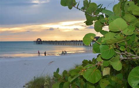 Naples Florida. One of the prettiest beaches in the world! | Naples ...