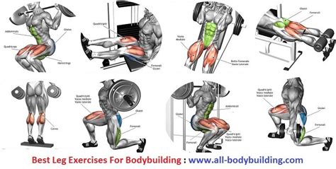 Leg Muscles Bodybuilding