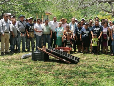 Compesca Y Pueblos Ind Genas Acuerdan Proteger A Tortugas Marinas El