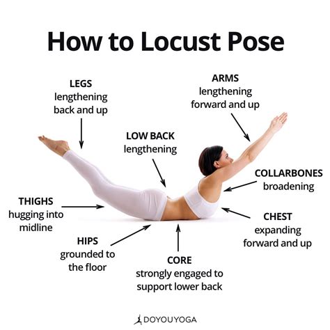 Your Guide To Salabhasana What Are Your Favorite Cues For Locust Pose