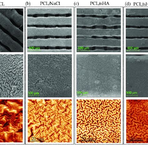 Surface Analysis Obtained By Fe Sem And Afm For The Scaffolds Composed